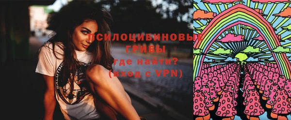 спайс Алзамай