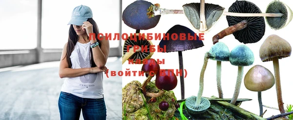 спайс Алзамай