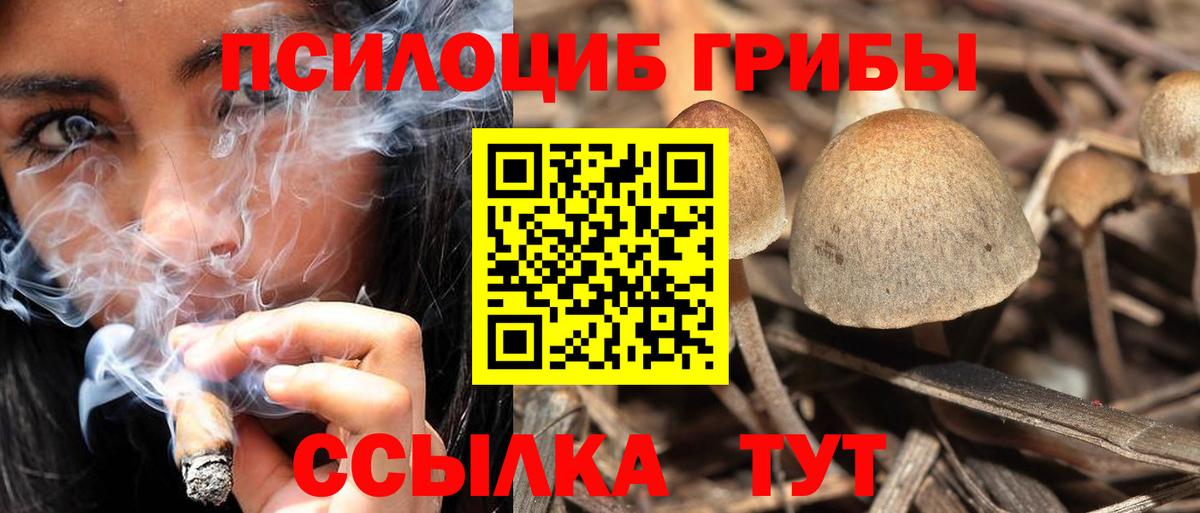 Йошкар-Ола  Галлюциногенные грибы прущие грибы  Вход с VPN 