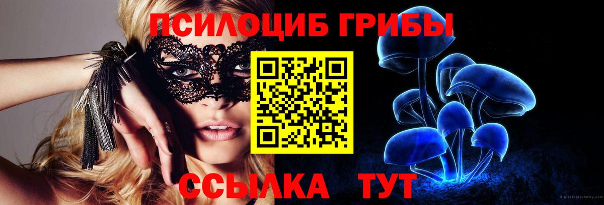 Галлюциногенные грибы Psilocybe Йошкар-Ола