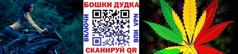блэк спрут   Йошкар-Ола  Конопля план 